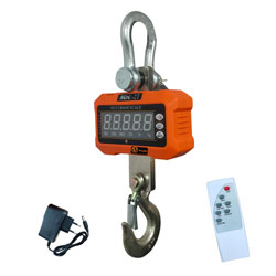 Crane Scales manufacturers exporters suppliers Ludhiana Punjab India